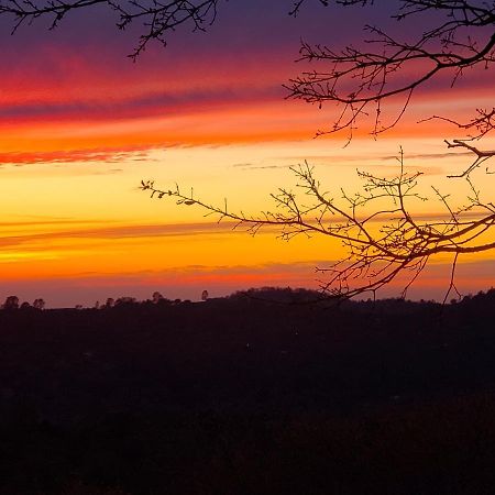 Yosemite Foothill Retreat - Private Guest Suite #2 Коарсголд Екстер'єр фото