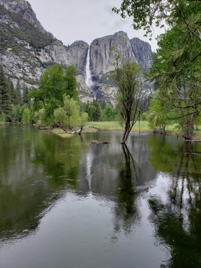 Yosemite Foothill Retreat - Private Guest Suite #2 Коарсголд Екстер'єр фото