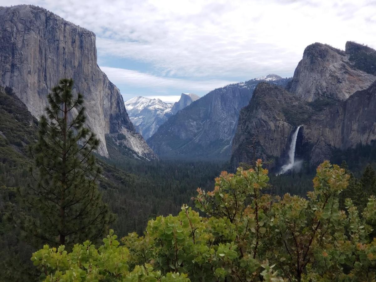 Yosemite Foothill Retreat - Private Guest Suite #2 Коарсголд Екстер'єр фото