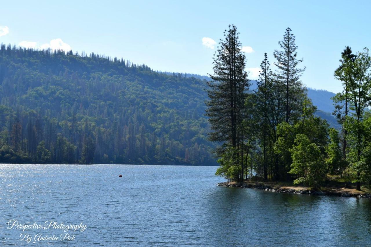 Yosemite Foothill Retreat - Private Guest Suite #2 Коарсголд Екстер'єр фото